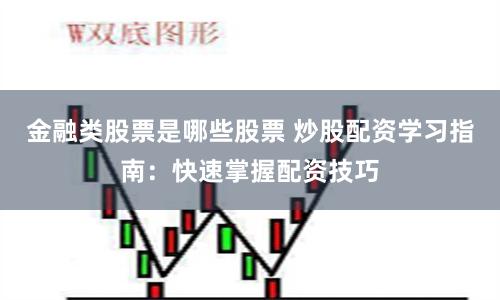金融類股票是哪些股票 炒股配資學習指南：快速掌握配資技巧